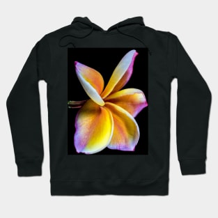 plumeria-flowers-frangipani-floral-awesome-bossom-shirtyshirto-39 Hoodie